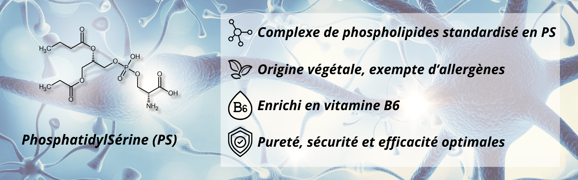 Les atouts de Vitaserine 